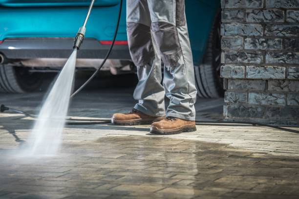 Best Driveway Pressure Washing  in Jackson, LA