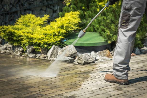 Best Fence Cleaning  in Jackson, LA