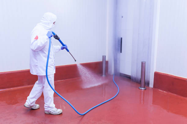 Best Factory Floor Cleaning  in Jackson, LA