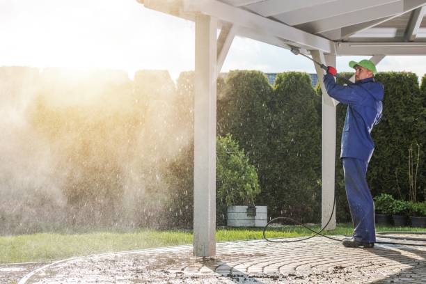 Best Solar Panel Cleaning  in Jackson, LA