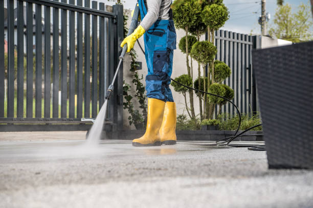 Best Animal Enclosure Cleaning  in Jackson, LA